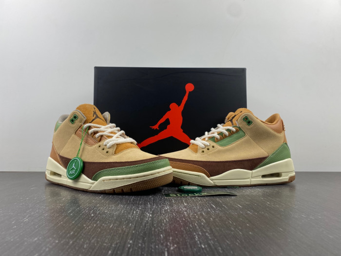 Air Jordan 3 “Green Brown”  CT8532-103