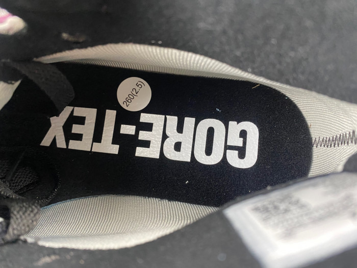 Jordan 1 High Element Gore-Tex Berry   DB2889-500