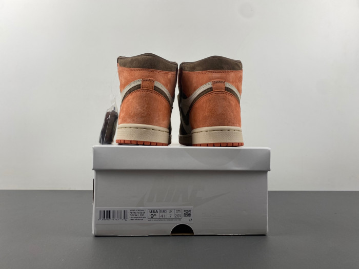 Jordan 1 Retro High OG SP Dusted Clay   FQ2941-200