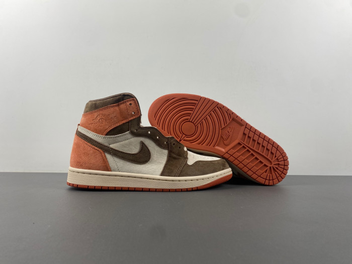 Jordan 1 Retro High OG SP Dusted Clay   FQ2941-200