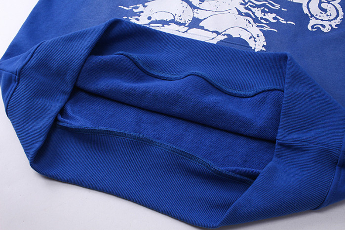 H*lst*r hoodie