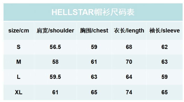 H*lst*r hoodie