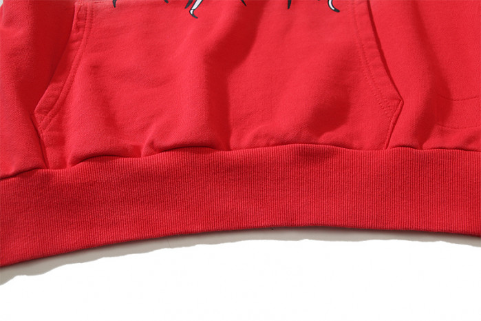 H*lst*r hoodie