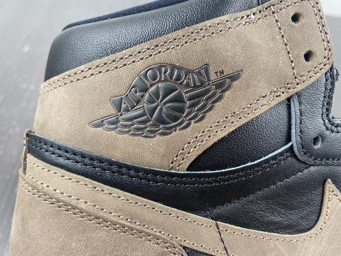 Jordan 1 Retro High OG Palomino DZ5485-020