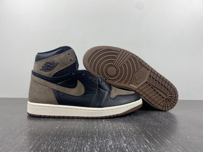 Jordan 1 Retro High OG Palomino DZ5485-020