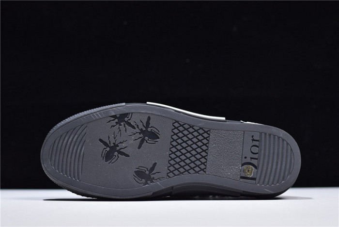 D*or b23 oblique sneaker