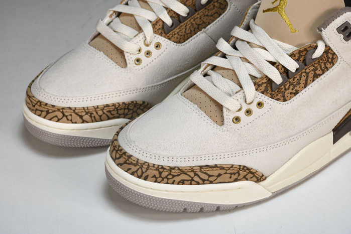Jordan 3 Retro Palomino CT8532-102