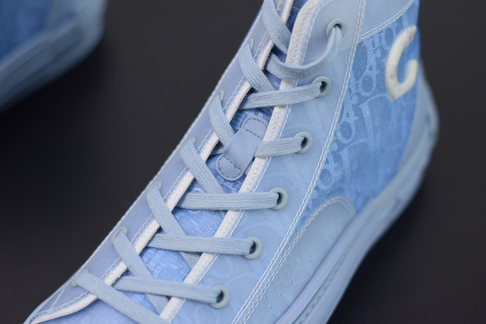 D*or b23 oblique sneaker