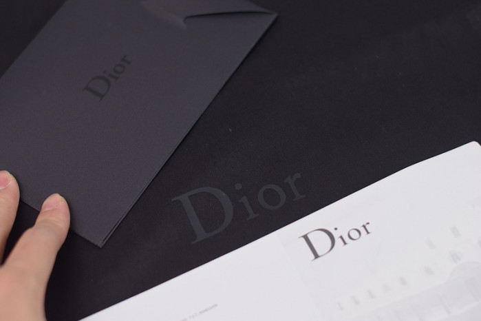 D*or b23 oblique sneaker