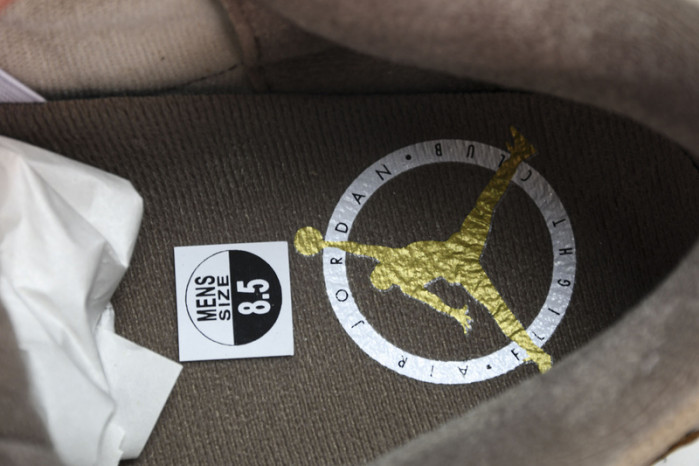 Jordan 3 Retro Palomino CT8532-102