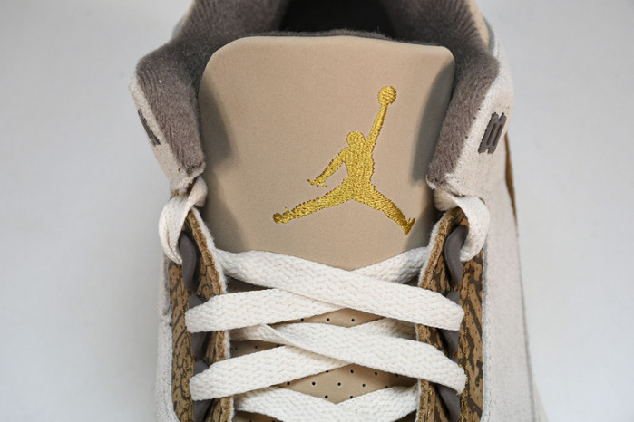 Jordan 3 Retro Palomino CT8532-102