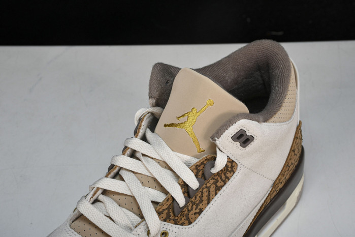 Jordan 3 Retro Palomino CT8532-102