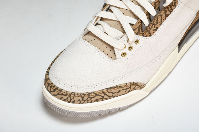 Jordan 3 Retro Palomino CT8532-102
