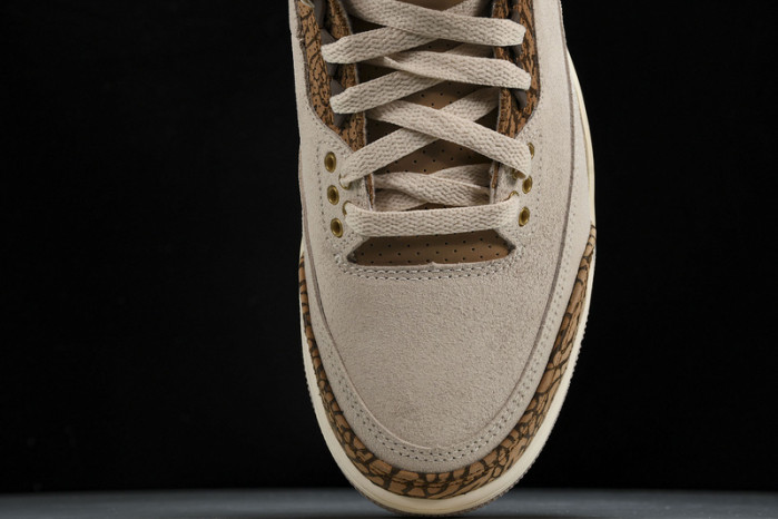 Jordan 3 Retro Palomino CT8532-102