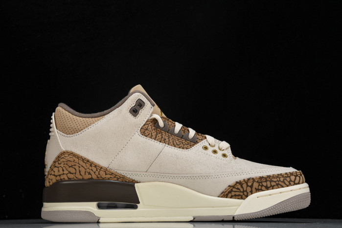 Jordan 3 Retro Palomino CT8532-102