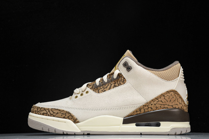 Jordan 3 Retro Palomino CT8532-102