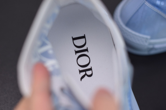 D*or b23 oblique sneaker