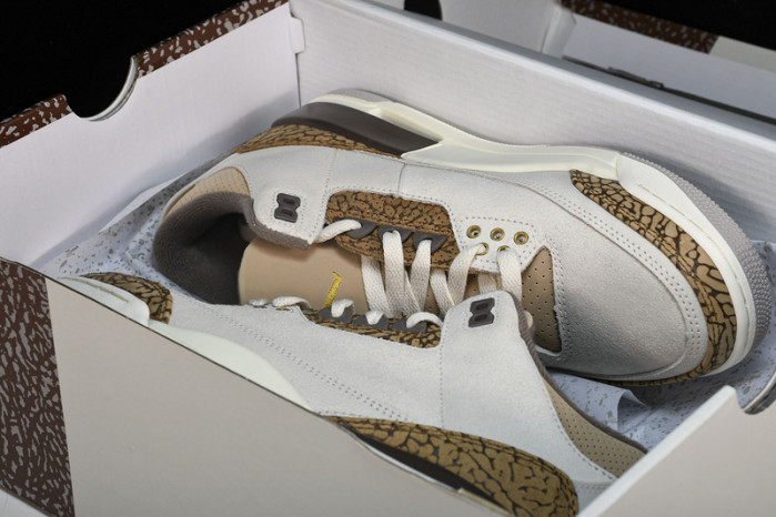 Jordan 3 Retro Palomino CT8532-102