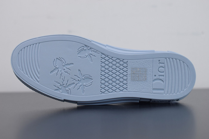 D*or b23 oblique sneaker