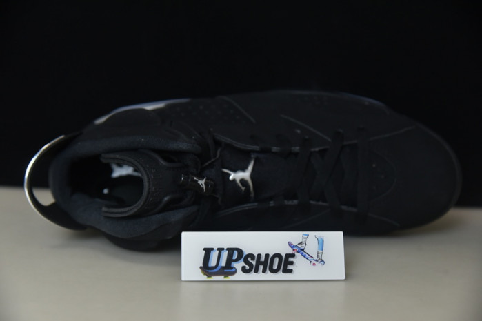 Jordan 6 Retro Metallic Silver DX2836-001